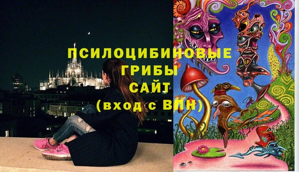 2c-b Баксан